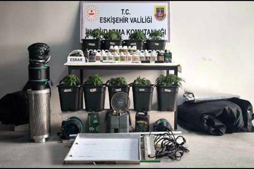 İklimlendirme sistemi kurup kenevir yetiştiren 3 kişi yakalandı