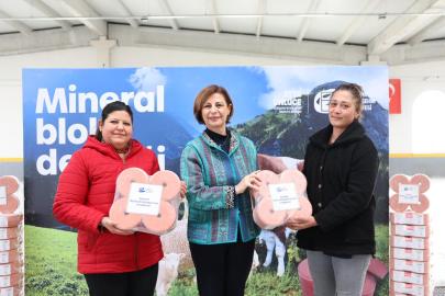 Han ve Mahmudiye’de üreticiye mineral blok desteği