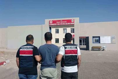 FETÖ’den hapis cezasıyla aranan şahsı jandarma yakaladı