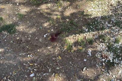 Parkta bir kişiyi döner bıçağıyla yaralayan saldırgan yakalandı