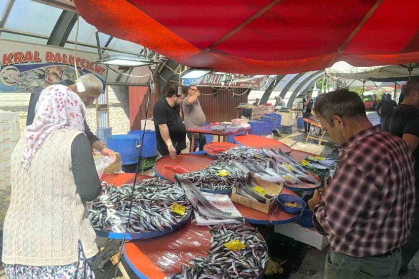 Afyonkarahisar’da balıkçı tezgahlarında hareketlilik başladı
