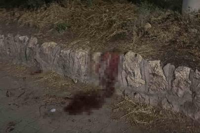 Bıçaklı kavgada 17 yaşındaki çocuk ağır yaralandı