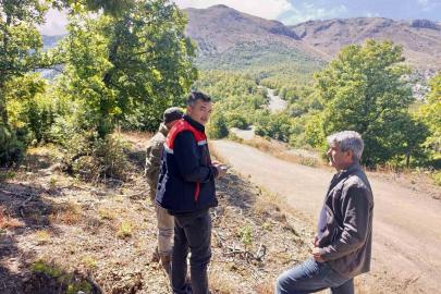 Kaybolan 9 büyükbaş hayvan dron ile bulundu