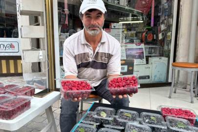 Kıraç arazileri aronya ve ahududugil yetiştirerek değerlendirdi
