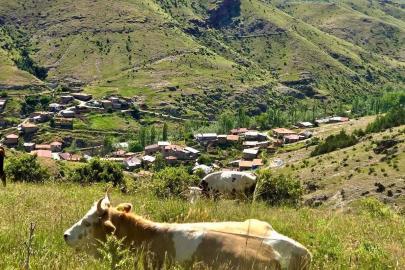 Kırsal dezavantajlı alanlara yönelik çalışmalar sürüyor