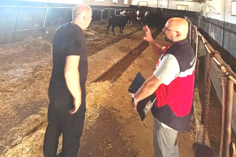 Tavşanlı’da Destek Projesi kapsamındaki ithal hayvanlar kontrolden geçirildi