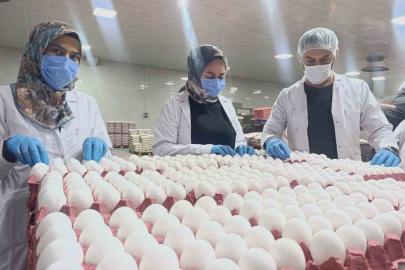 Yumurta fiyatlarına kısa vadede zam beklenmiyor