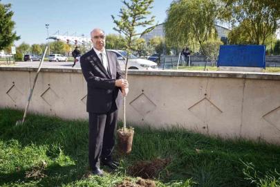 Afyonkarahisar’da "Bir Fidan Bir Umut" projesi sürüyor
