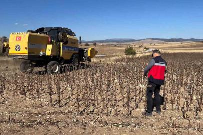 Aslanapa’da yüzde 75 hibeli ayçiçeğinde hasat kontrolleri