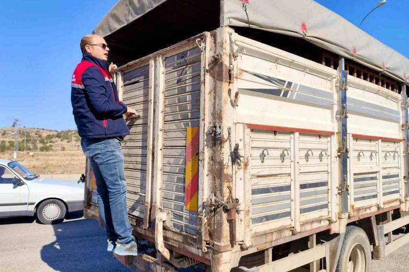 Canlı hayvan nakline yönelik denetimler sürüyor
