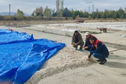 Çay’da kabak çekirdeği ve elma üreticilerine saha ziyareti