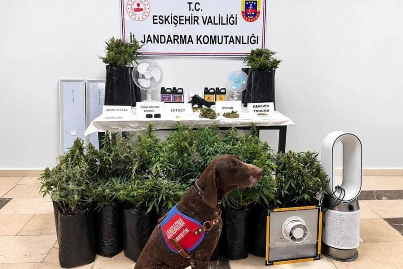 Eskişehir’de 21 poşet kenevir ve çok sayıda uyuşturucu madde jandarma tarafından ele geçirildi