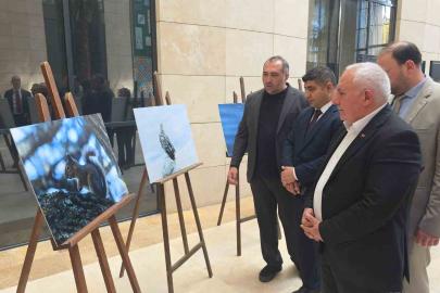 Kütahya’nın yaban hayatı fotoğraflarla gözler önüne seriliyor