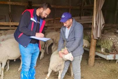 Sürdürülebilir Koyun Projesi çerçevesinde işletme denetimleri sürüyor