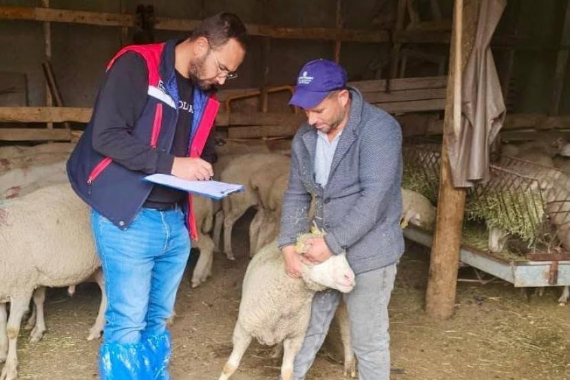 Sürdürülebilir Koyun Projesi çerçevesinde işletme denetimleri sürüyor