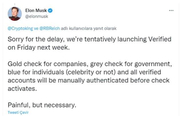 İşte Elon Musk'ın yeni planı! Şirketler için altın, hükümetler için gri renkte tik olacak
