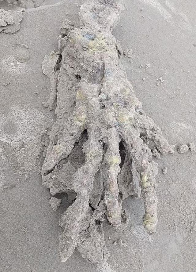 Sahilde yürüyen çift, kumdan fırlayan esrarengiz parmakları görünce dehşete düştü