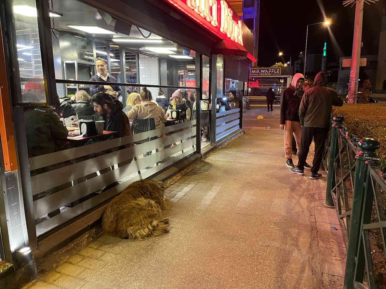 Depremden korkan öğrenciler, ev terlikleriyle kendilerini sokağa attılar