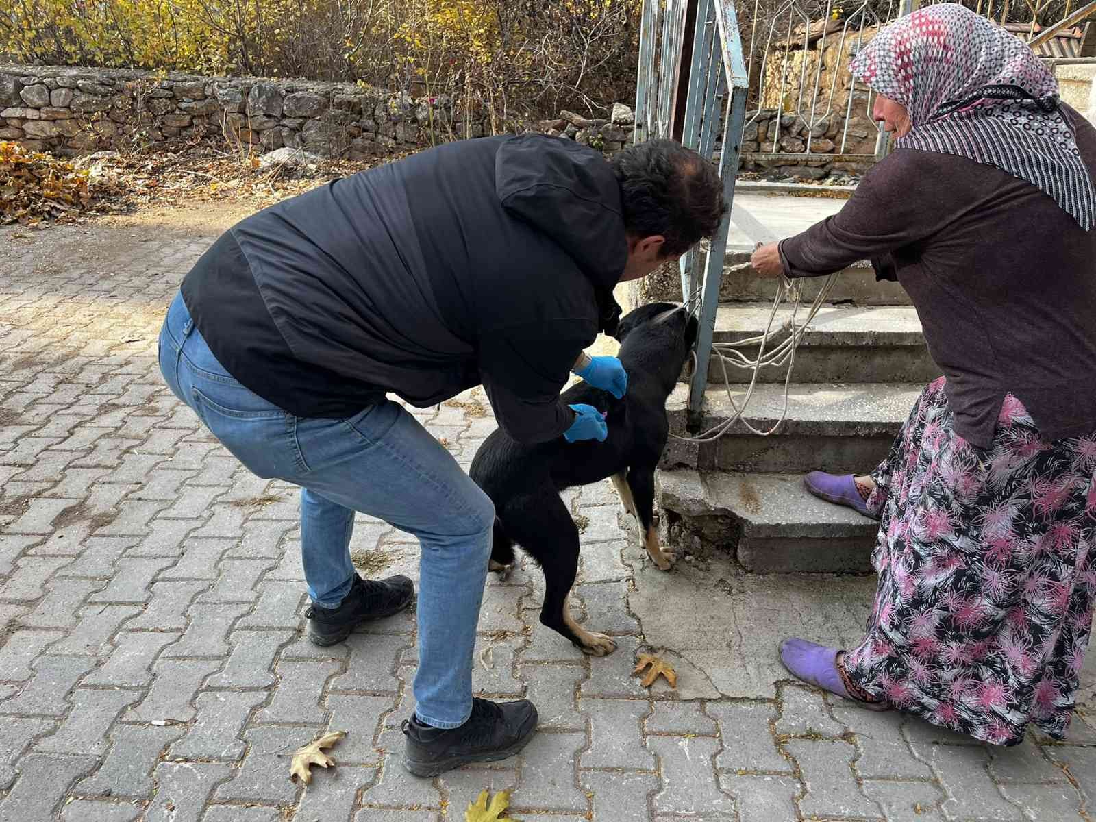 Aslanapa’da kedi ve köpeklere kuduz aşısı