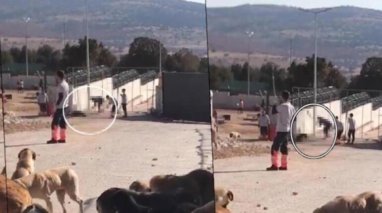 Fenomen Meriç Keskin Konya'daki barınaktan köpek sahiplendi!
