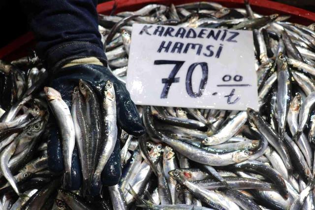 Duyanın iştahı kaçıyor! Rize ve Sivas'taki hamsi fiyatı arasında tamı tamına 60 TL fark var