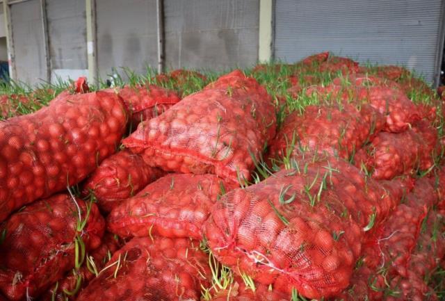 Şanlıurfa'da denetimlerde ele geçirilen 22 ton çürümüş soğan imha edildi