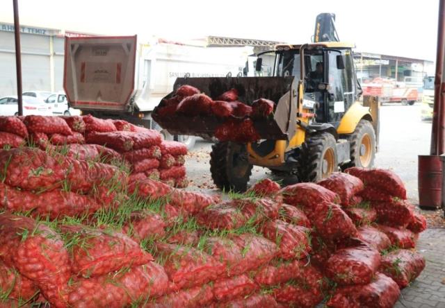 Şanlıurfa'da denetimlerde ele geçirilen 22 ton çürümüş soğan imha edildi