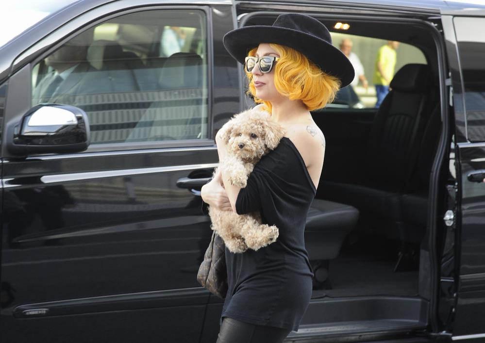 Lady Gaga'nın köpeklerini kaçıran adama 21 yıl hapis cezası