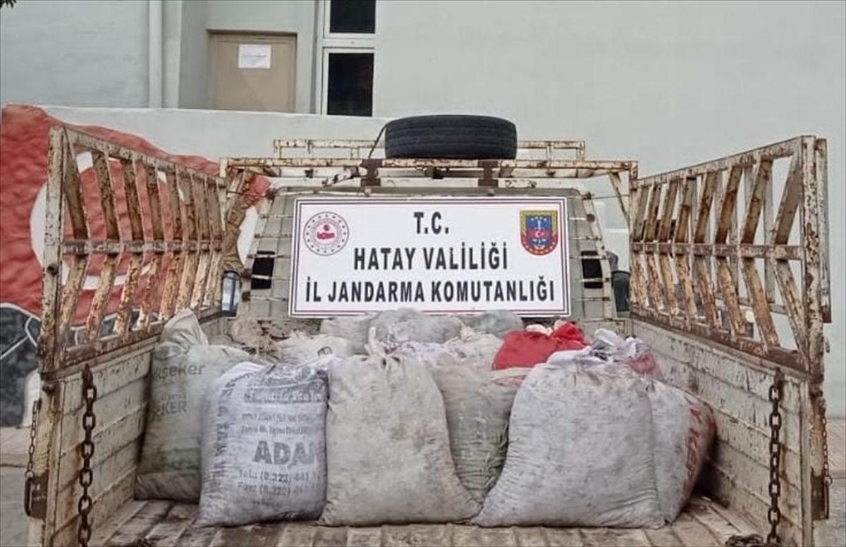 Hatay'da tarladan 2 ton zeytin çalan 3 şüpheli tutuklandı