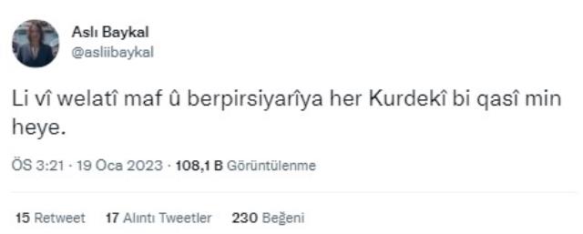 Aslı Baykal'dan dikkat çeken 'Kürtçe' tweet