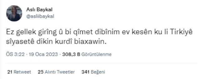 Aslı Baykal'dan dikkat çeken 'Kürtçe' tweet
