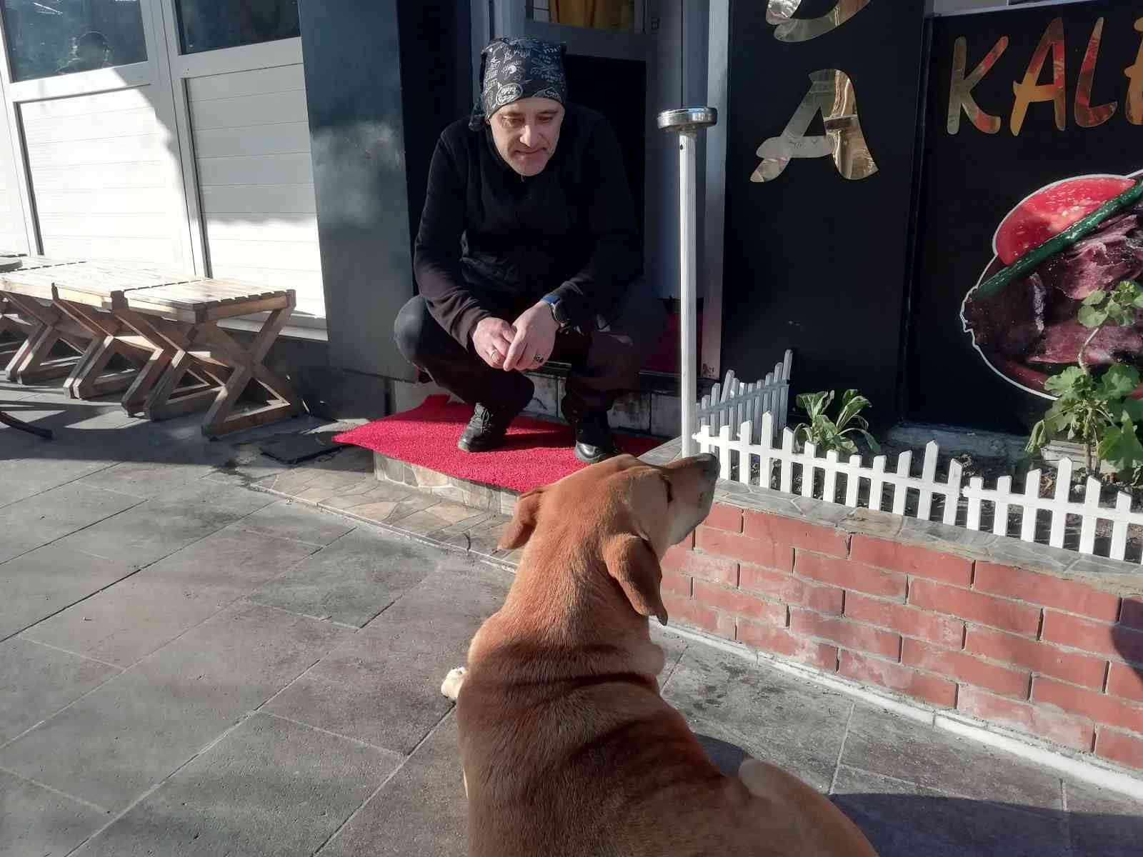 Yemek bekleyen sokak köpeğini geri çevirmediler