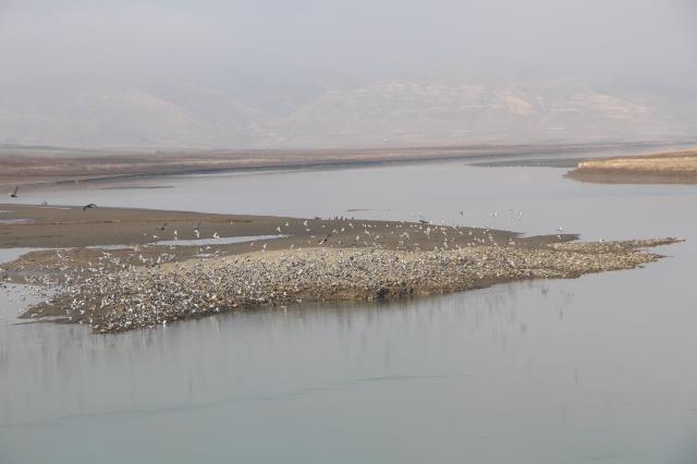 Türkiye'de yaşanan kuraklığın en net fotoğrafı! Uyarı yazısı var, su yok