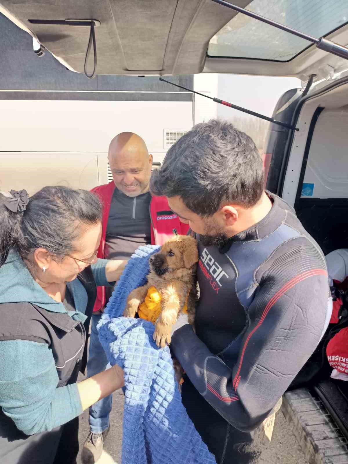 Kanala düşen yavru köpek arama kurtarma ekiplerince kurtarıldı