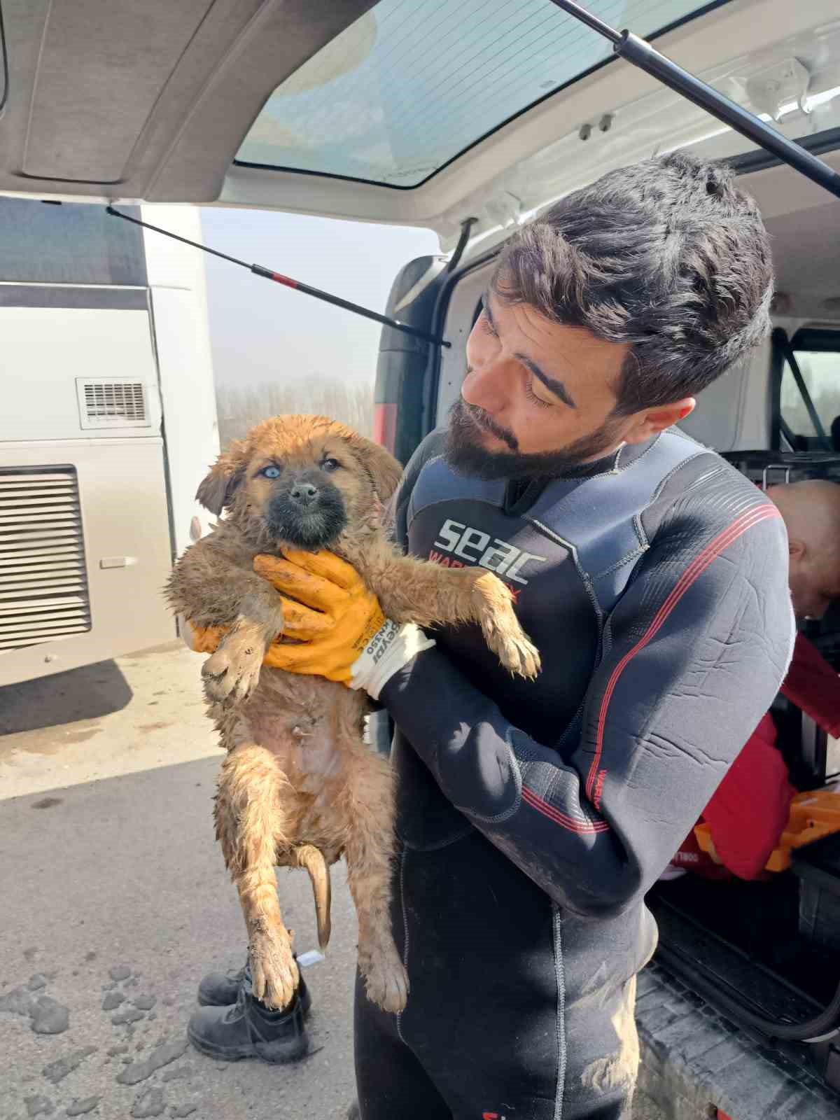 Kanala düşen yavru köpek arama kurtarma ekiplerince kurtarıldı