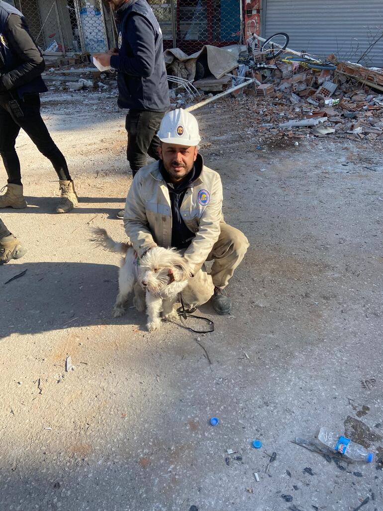 Madenciler, enkaz altındaki köpeği 204'üncü saatte kurtardı