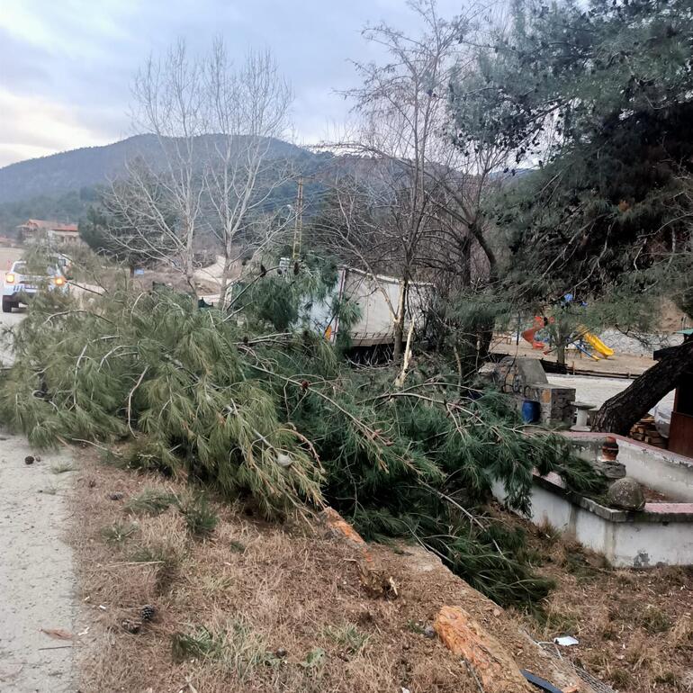 Deprem bölgesine yardım götüren TIR ağaçlara çarptı: 1 yaralı