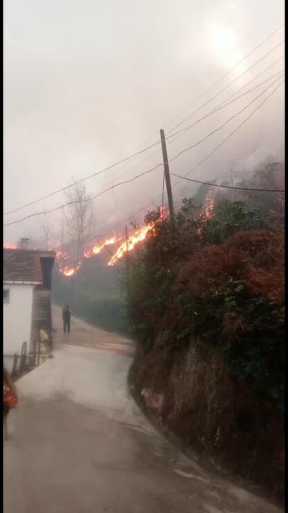 Trabzon'da geniş alana yayılan örtü yangını söndürüldü