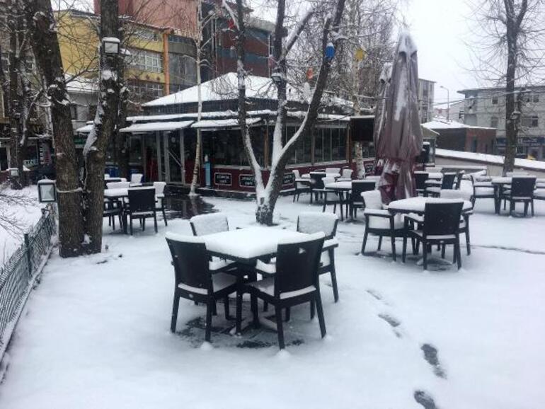 Ardahan ve Erzincan'da kar yağışı