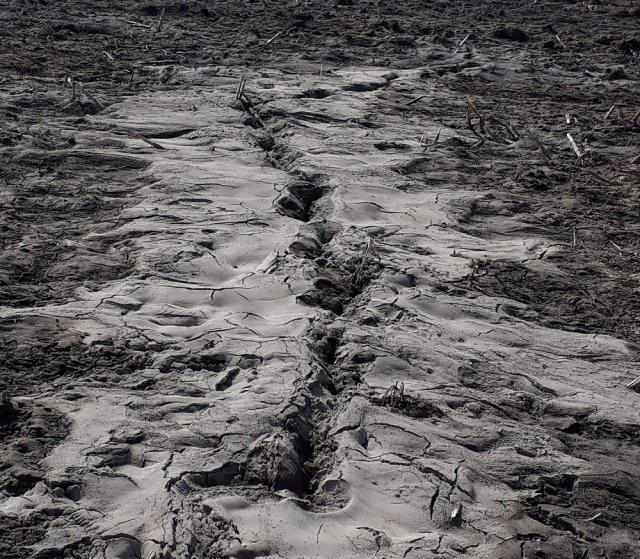 Depremle yarılan tarlalardan yüzeye su çıktı, manzara vatandaşları endişelendiriyor