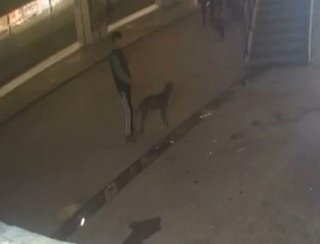 İstanbul'da korku dolu anlar! Sahibinin bıraktığı pitbull cinsi köpek, 13 yaşındaki çocuğu ısırdı