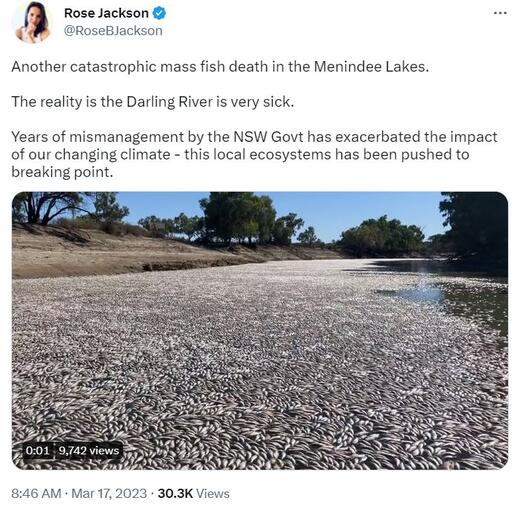 Avustralya’da nehir havzasında milyonlarca balık ölümü meydana geldi