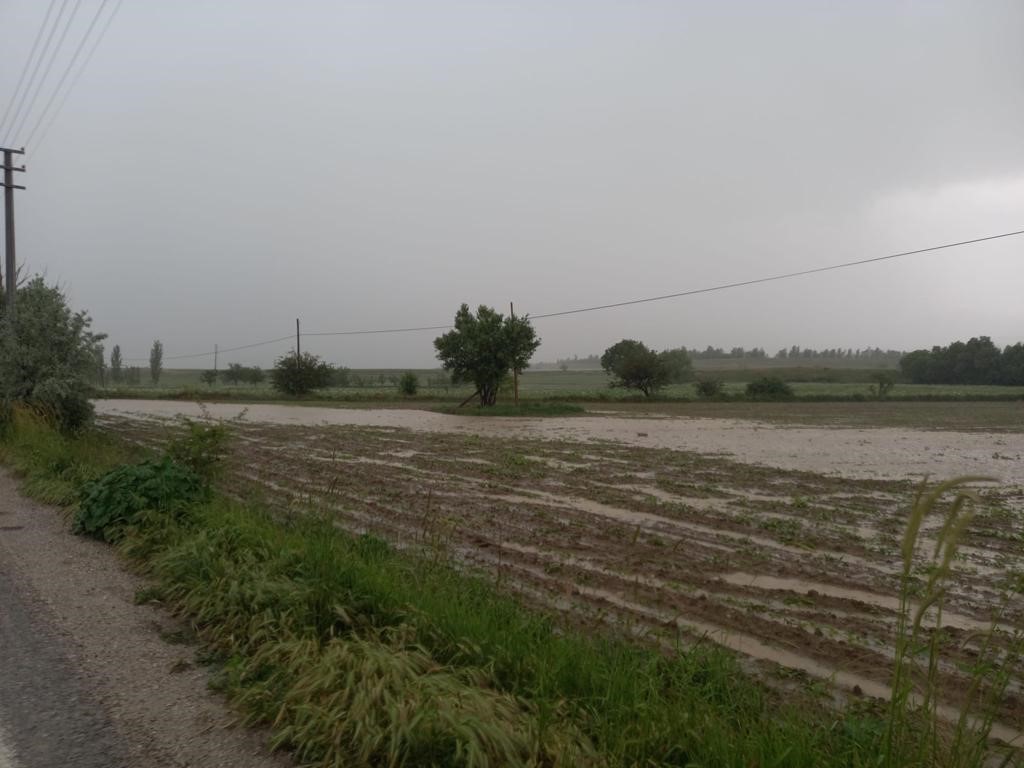 Sağanak ve dolu yağışı tarım arazilerini vurdu