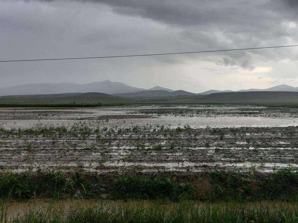 Sağanak ve dolu yağışı tarım arazilerini vurdu