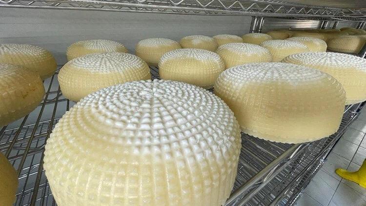 Tescilli Çerkez peyniri, Kalkınma Ajansı desteğiyle kurulan tesiste üretiliyor