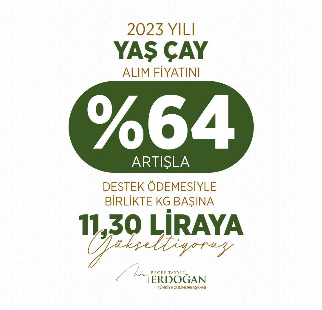 Cumhurbaşkanı Erdoğan memleketi Rize'de müjdeyi duyurdu! İşte yaş çay alım fiyatı!