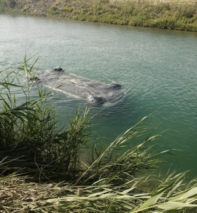 Adana'da sulama kanalına düşen otomobilden 3 erkek cesedi çıktı