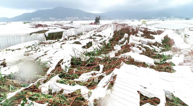 Anamur'u vuran hortum felaketinin bilançosu: 13 kişi yaralandı, 100 sera zarar gördü