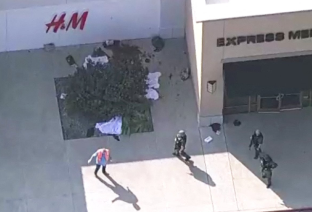 ABD'de alışveriş merkezini basan silahlı saldırgan 8 kişiyi öldürdü, 7 kişiyi yaraladı