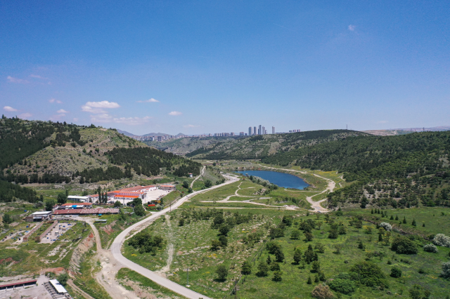 Aralıksız yağışlar Ankara'yı adeta Karadeniz'e çevirdi! Dağlar tepeler yeşil örtüyle kaplandı